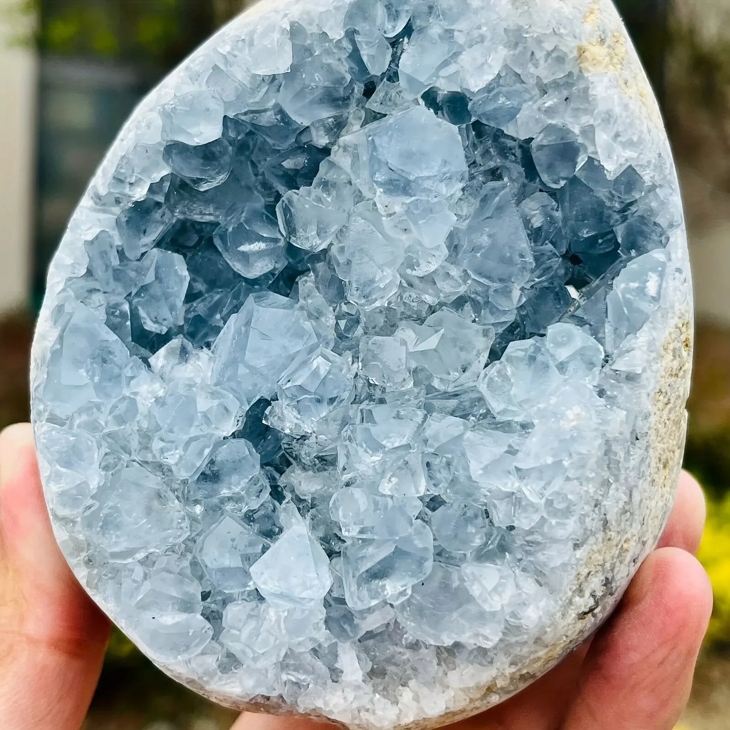 Enormous Genuine Celestite Crystal Egg