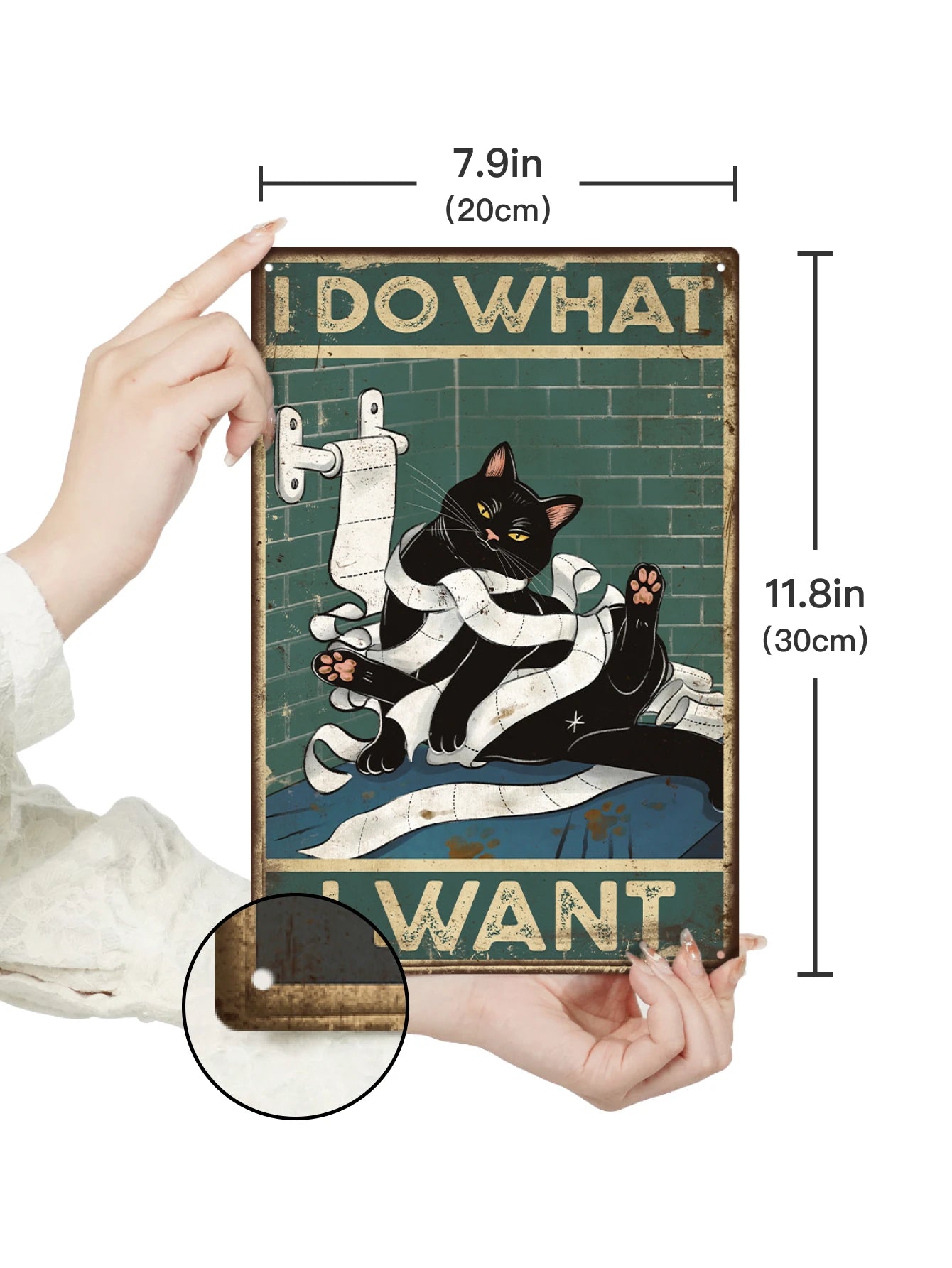 Black Cat Tin Sign