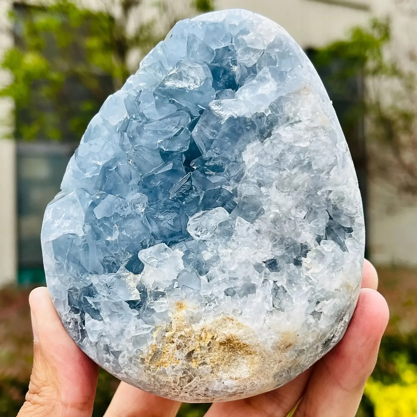 Enormous Genuine Celestite Crystal Egg